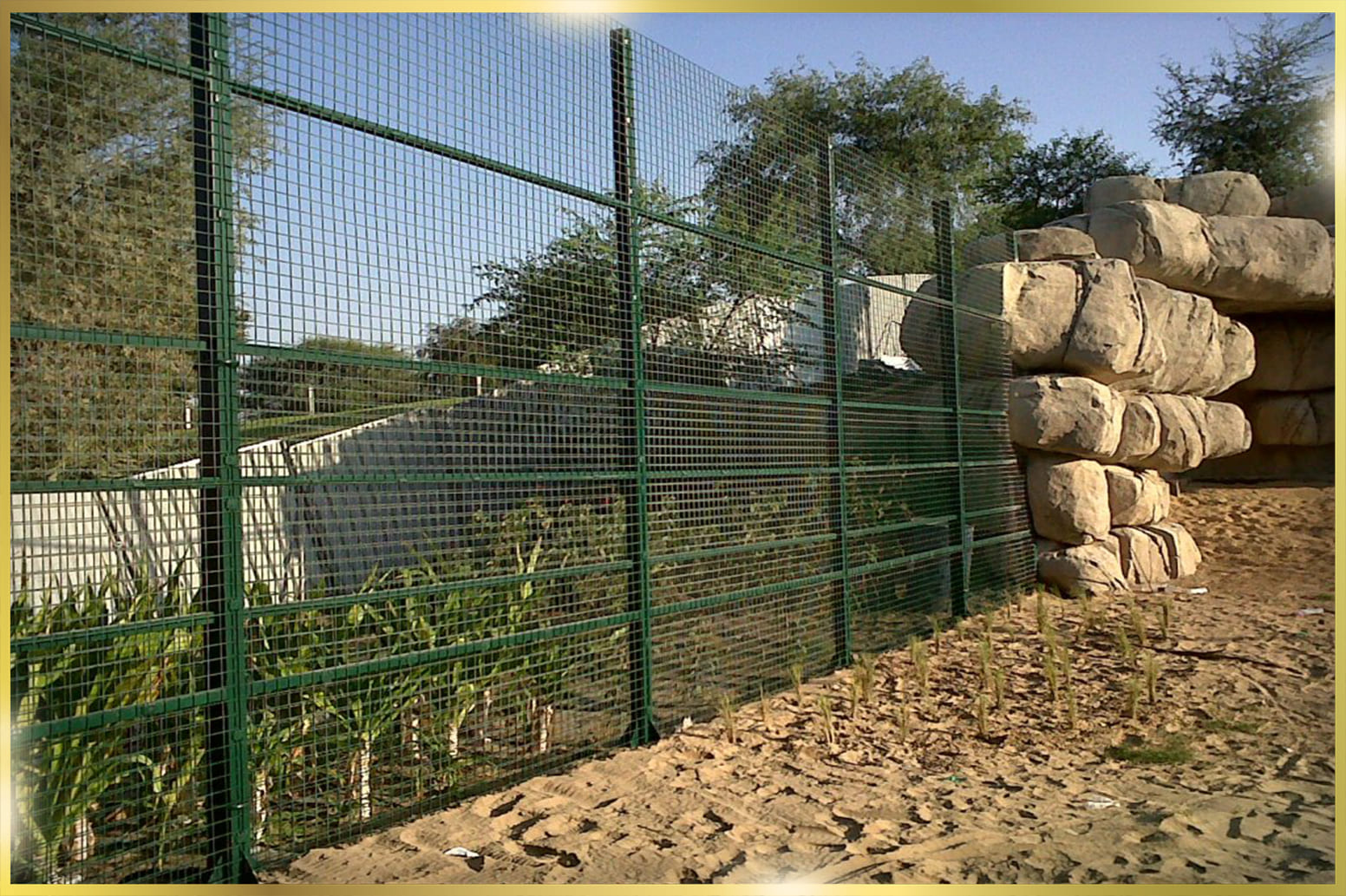 Stainless Steel Animal Cages in Dubai