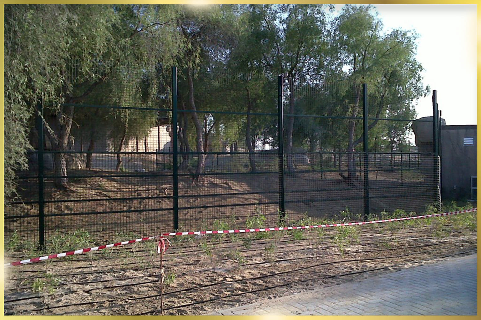 Stainless Steel Cage Mesh Fabricators for Crowne Prince Zoo