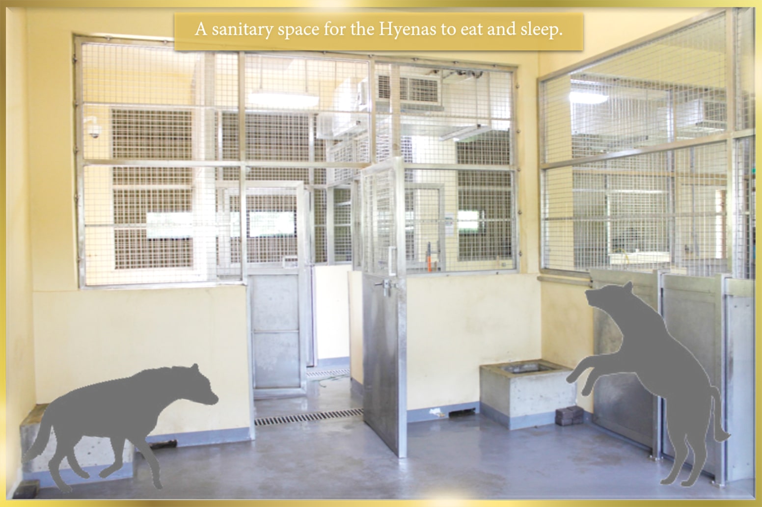 Animal Housing manufacturers in Dubai